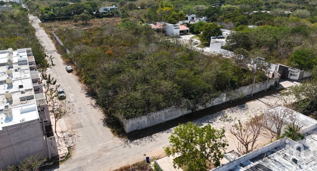Land in Mérida, Yucatan, Mexico 1 - 17287292
