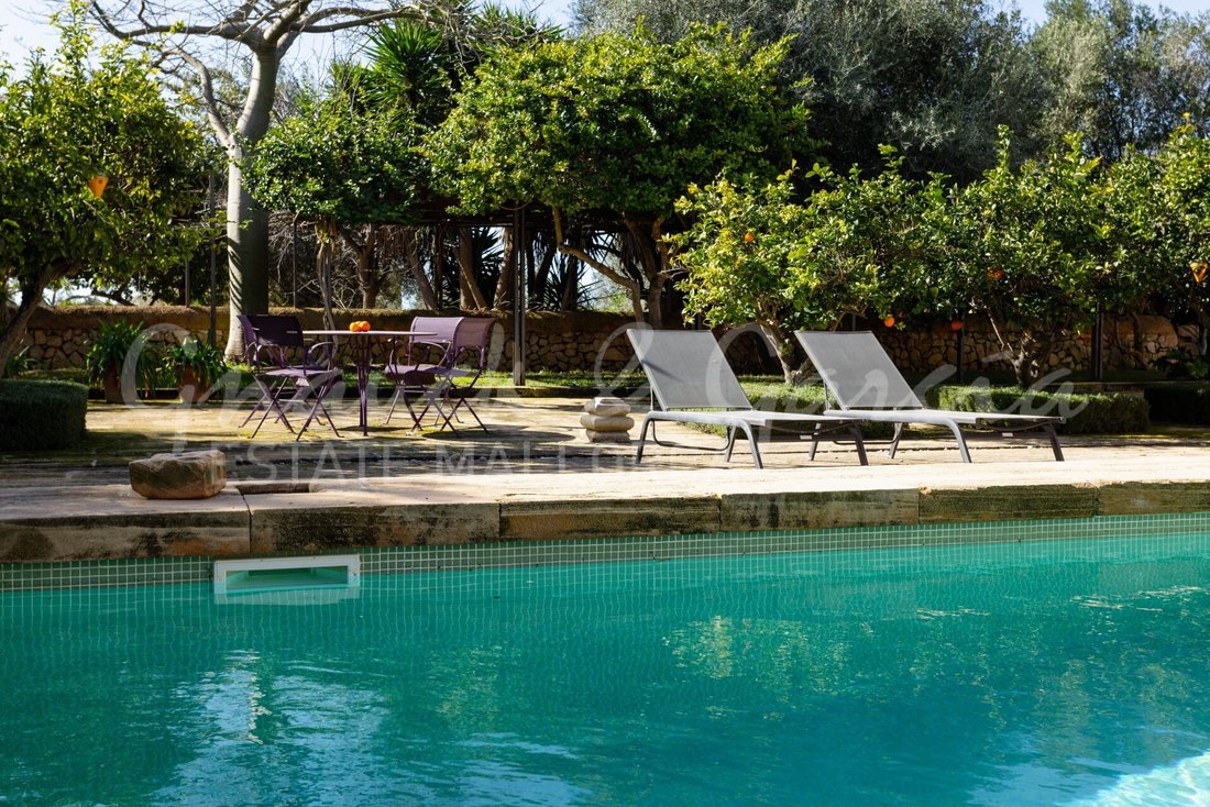 Finca in Campos, Balearic Islands, Spain 2 - 17291684