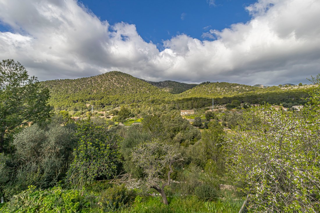 Finca in Alaro, Balearic Islands, Spain 4 - 17291666