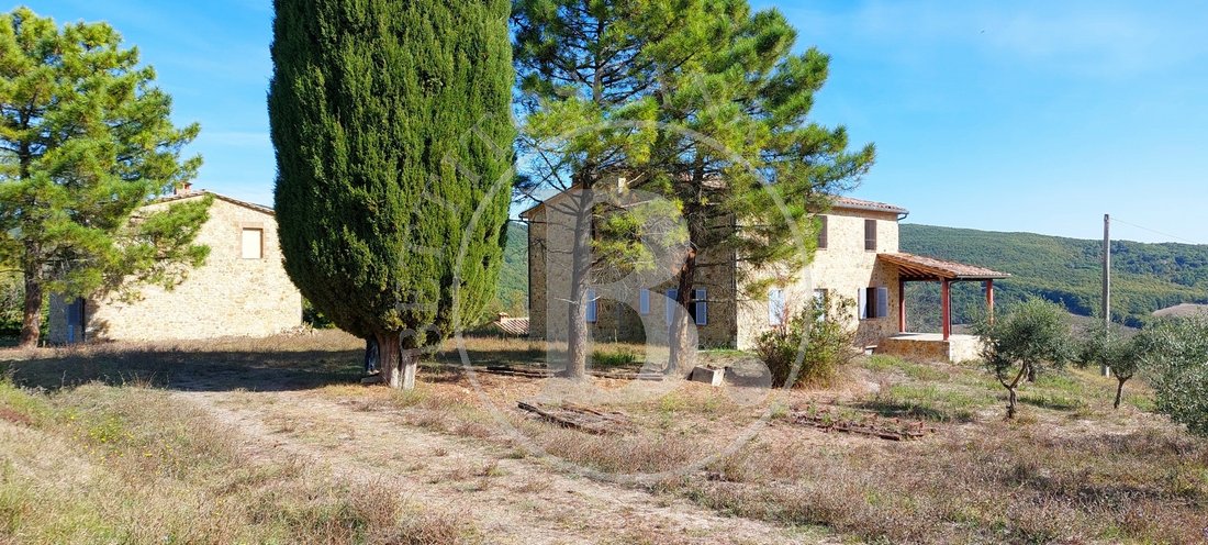 Villa in Radicondoli, Tuscany, Italy 3 - 17291885