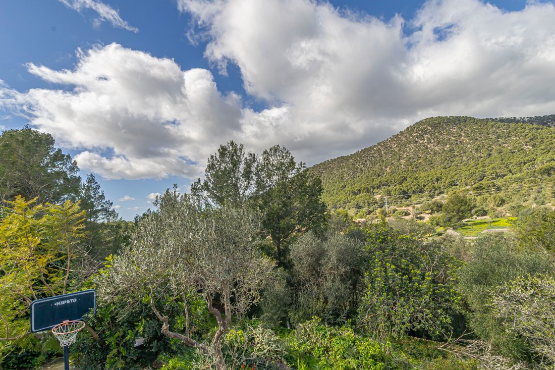Finca in Alaro, Balearic Islands, Spain 5 - 17291666