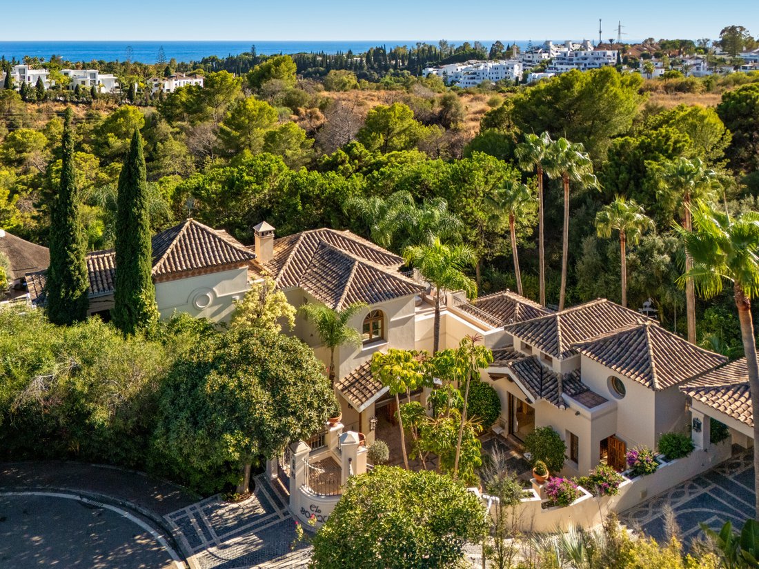 Villa in Marbella, Andalusia, Spain 2 - 17291870