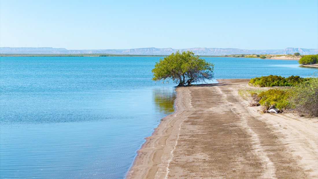 Land in La Paz, Baja California Sur, Mexico 1 - 17290962