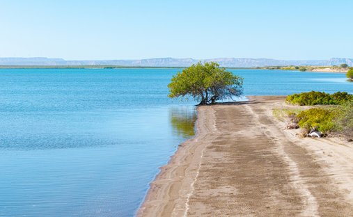 Land in La Paz, Baja California Sur, Mexiko 1