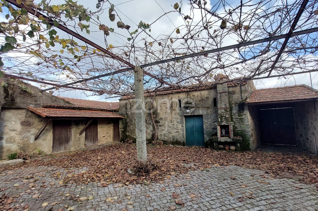 Finca in Nogueira do Cravo e Pindelo, Aveiro District, Portugal 5 - 17290363