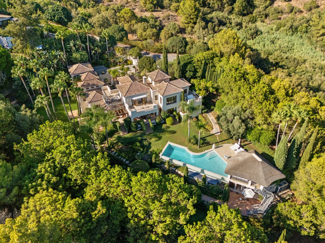 Villa in Marbella, Andalusia, Spain 3 - 17291870