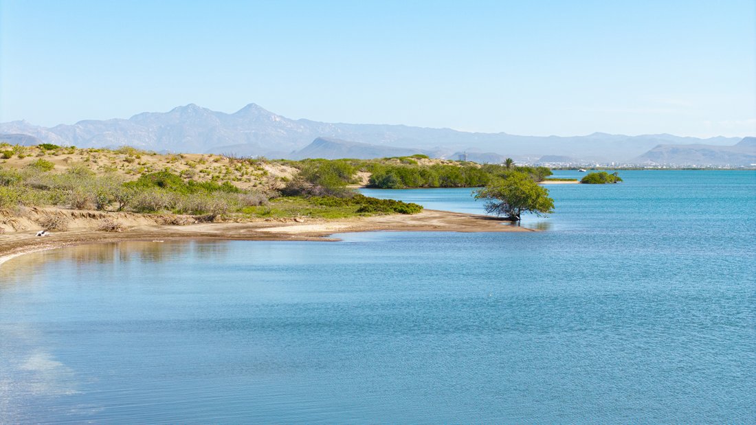 Land in La Paz, Baja California Sur, Mexico 1 - 17290963