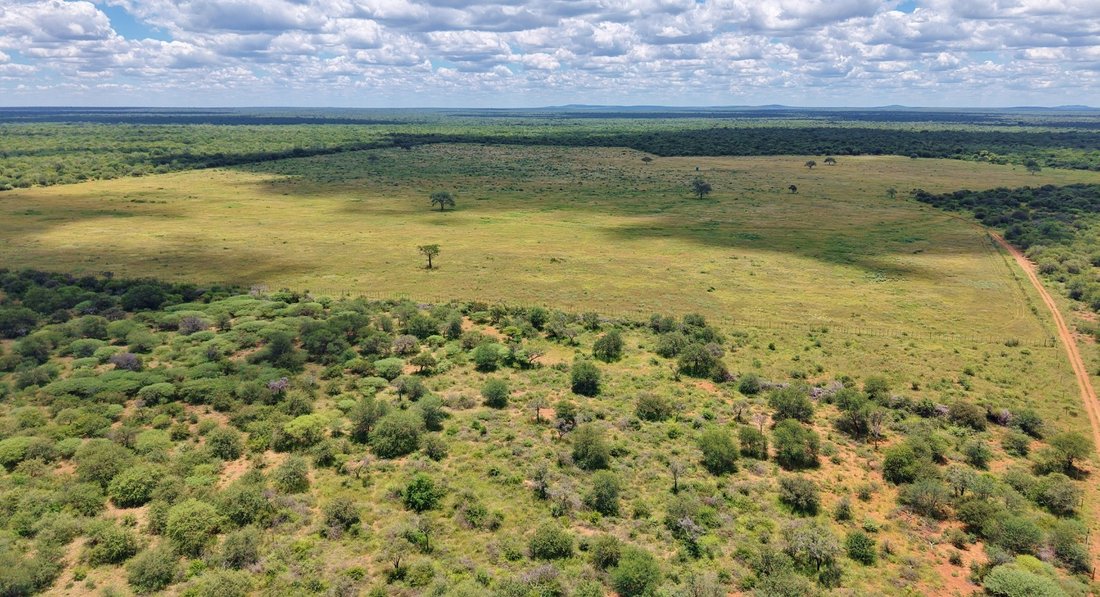Farm Ranch in Alldays, Limpopo, South Africa 4 - 17292166