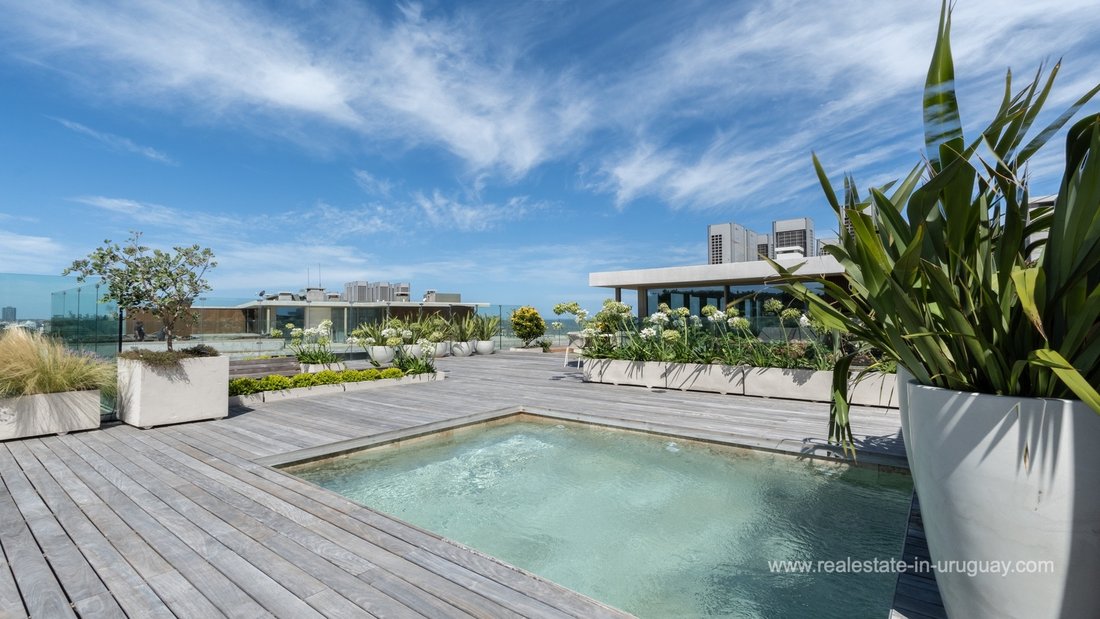 Penthouse in Punta del Este, Maldonado Department, Uruguay 1 - 17292670