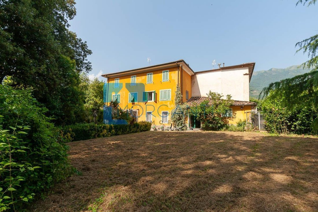 Camaiore, Tuscany, Italy 5 - 17294271
