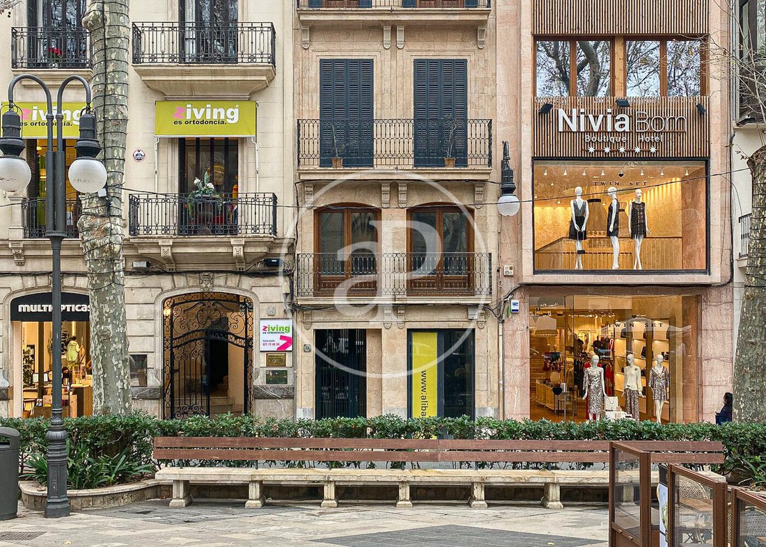 Apartment in Palma, Balearic Islands, Spain 2 - 17299574