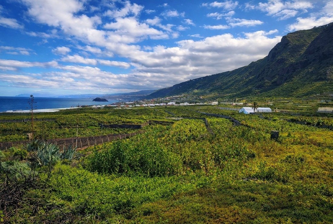 Farm Ranch in Los Silos, Canary Islands, Spain 5 - 17295485