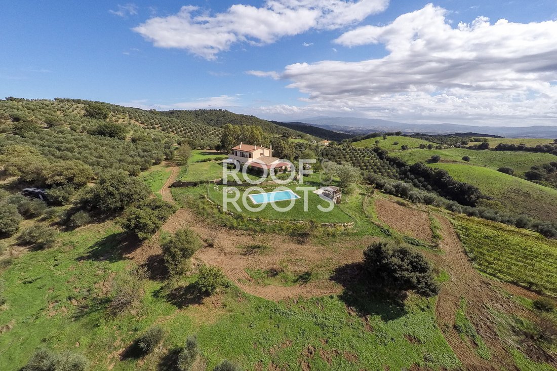 Villa in Campagnatico, Tuscany, Italy 5 - 17292833