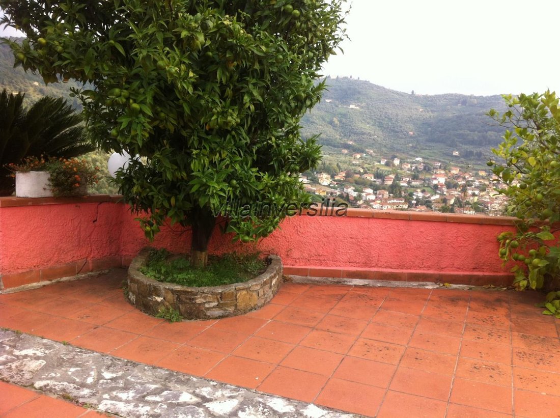 Villa in Stiava, Massarosa, Tuscany 5 - 17294562