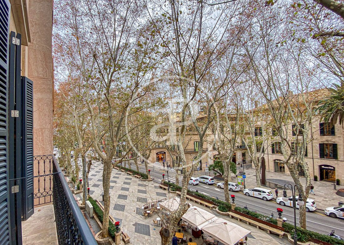 Apartment in Palma, Balearic Islands, Spain 3 - 17299574