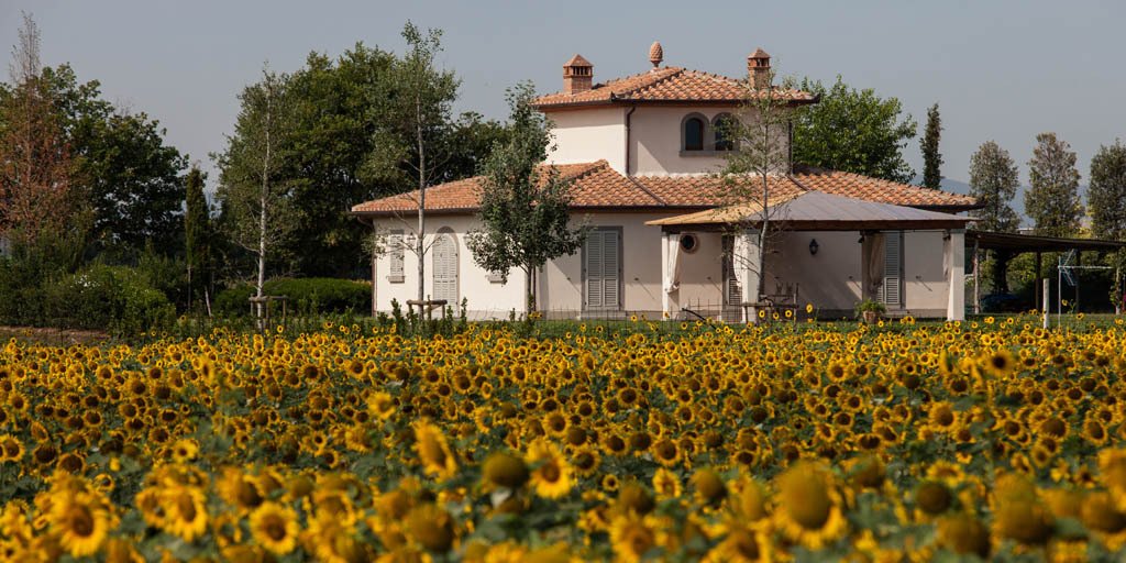 Villa in Center, Cortona, Tuscany 1 - 17295069