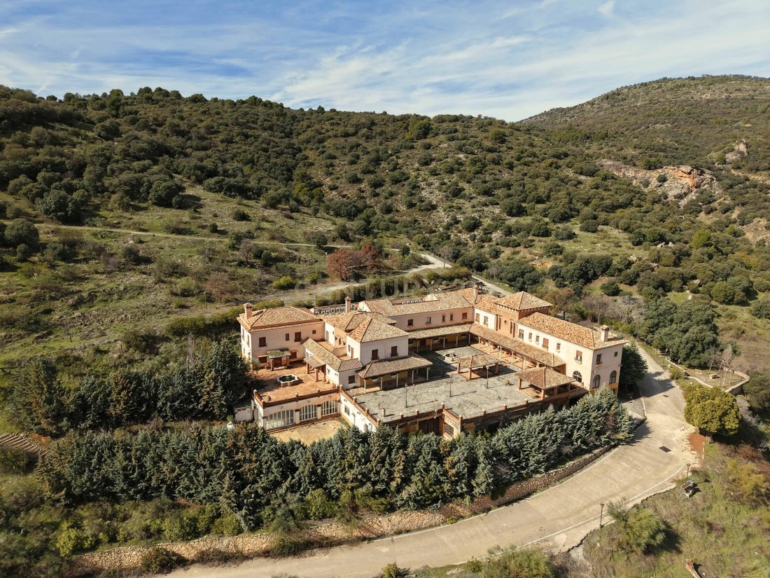 Andere in Diezma, Andalusien, Spanien 5 - 17299743