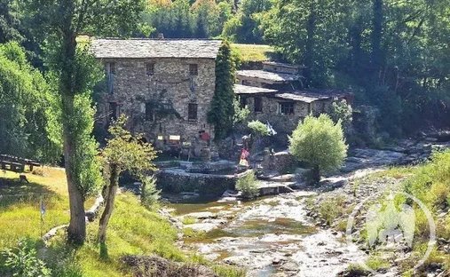 Pasteur, Niza, Francia 1