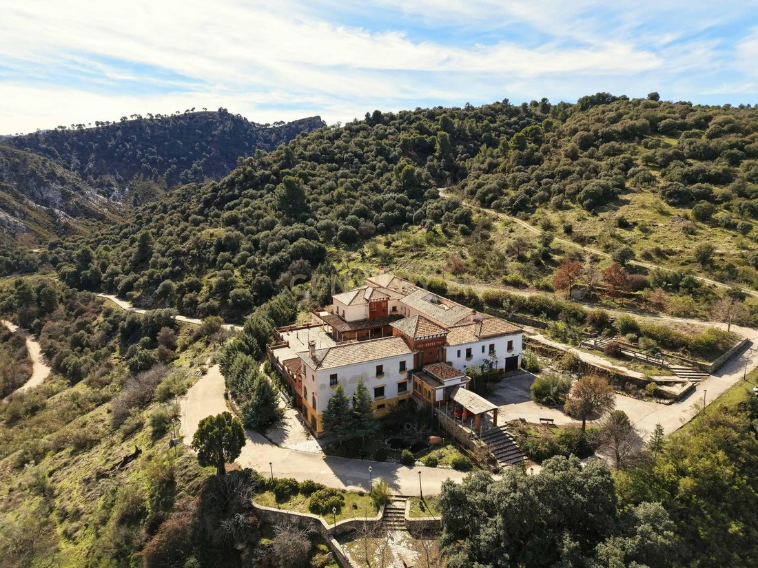 Andere in Diezma, Andalusien, Spanien 3 - 17299743