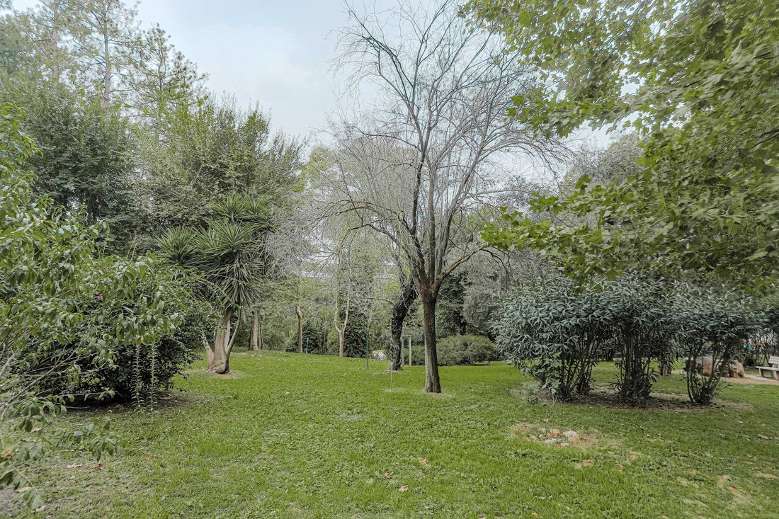 Penthouse in Eur - Torrino - Giuliano Dalmata, Rome, Lazio 3 - 17293255