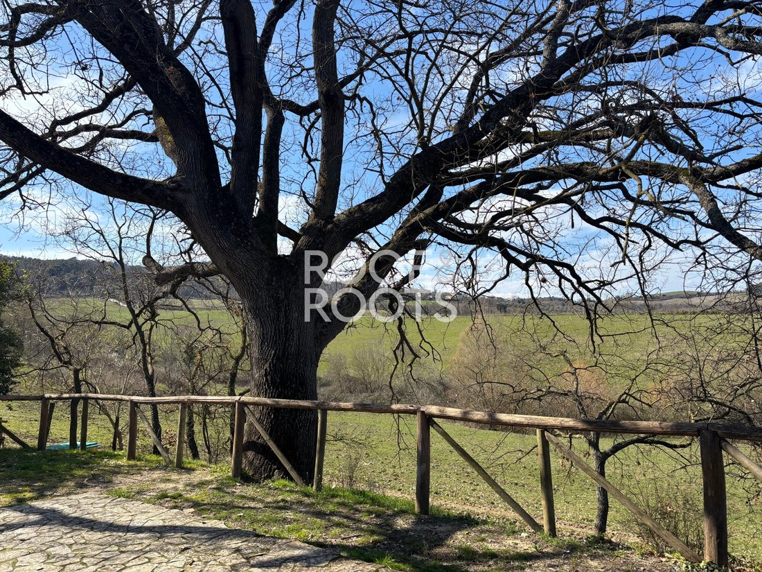 Villa in Casole d'Elsa, Tuscany, Italy 4 - 17299929