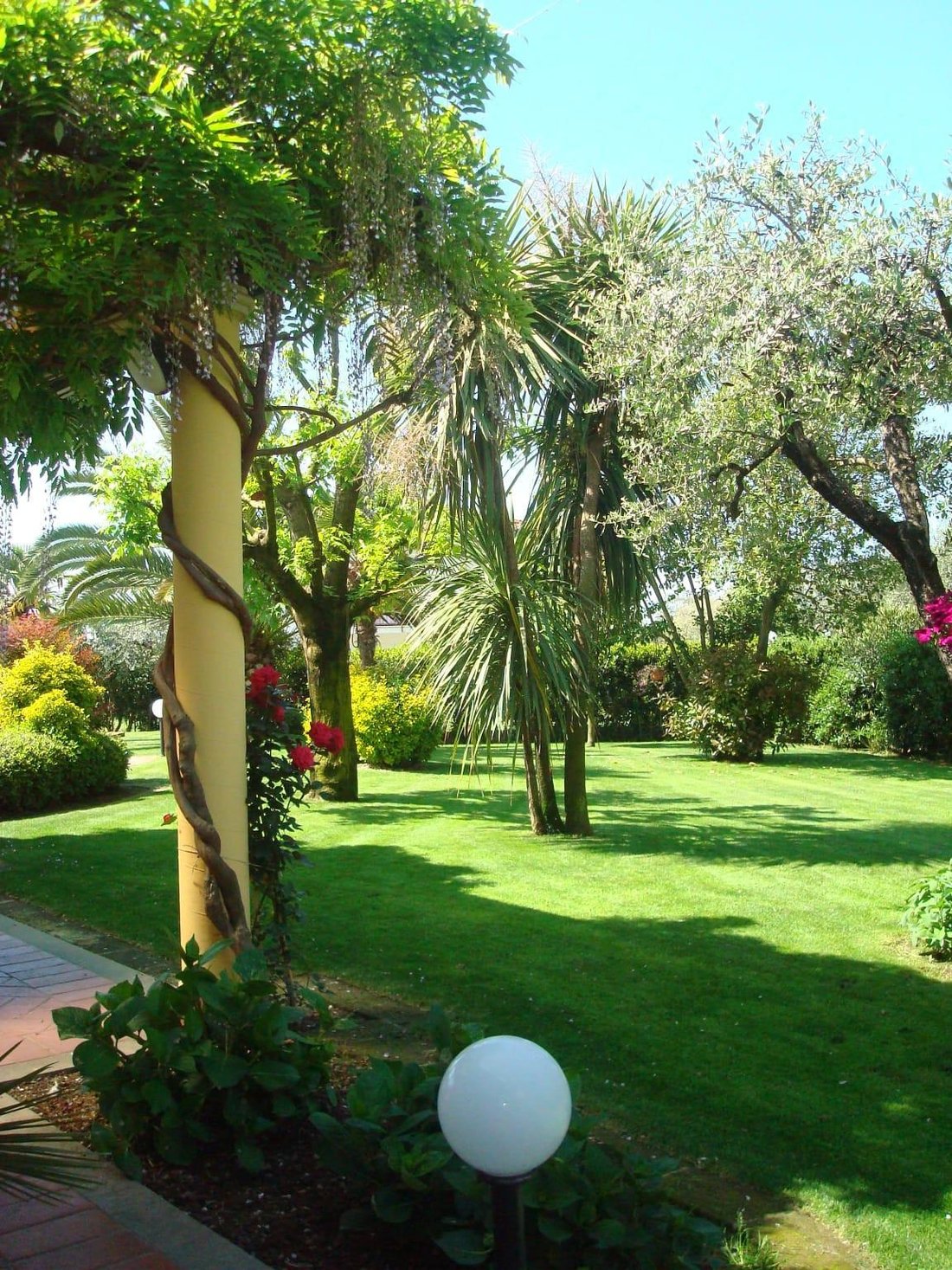 Villa in Cervaiolo - Debbia, Montignoso, Tuscany 3 - 17294602