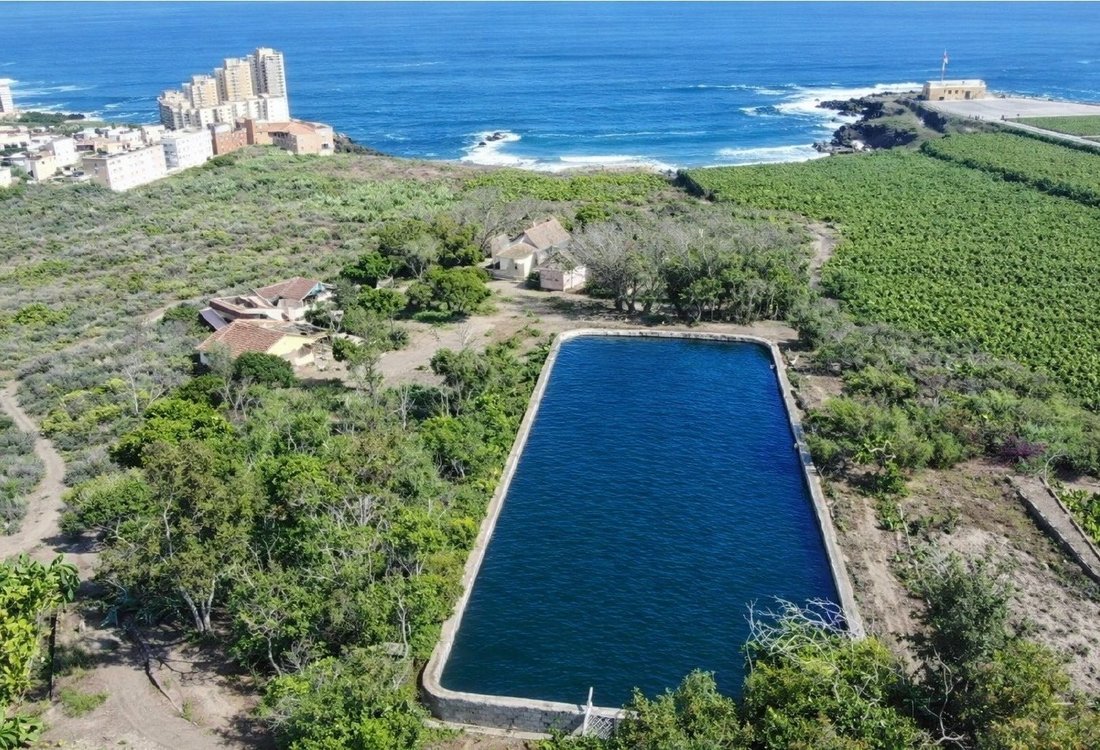 Farm Ranch in Los Silos, Canary Islands, Spain 4 - 17295485