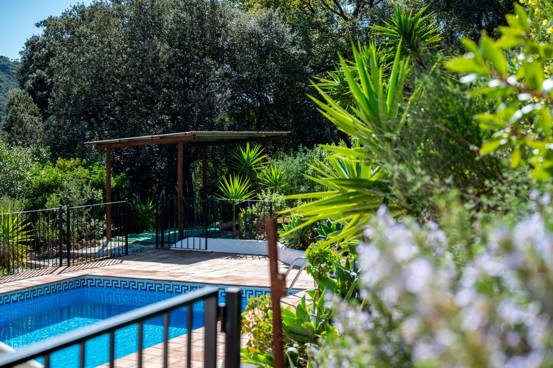 Country House in Casares, Andalusia, Spain 4 - 17296339
