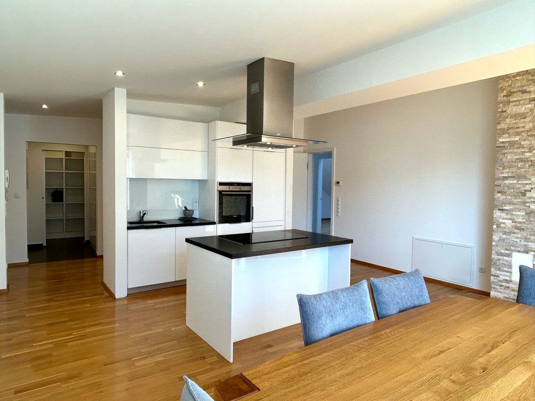 Contemporary Top Floor Residence With Terrace And Advanced Home Comfort – Vienna 1230