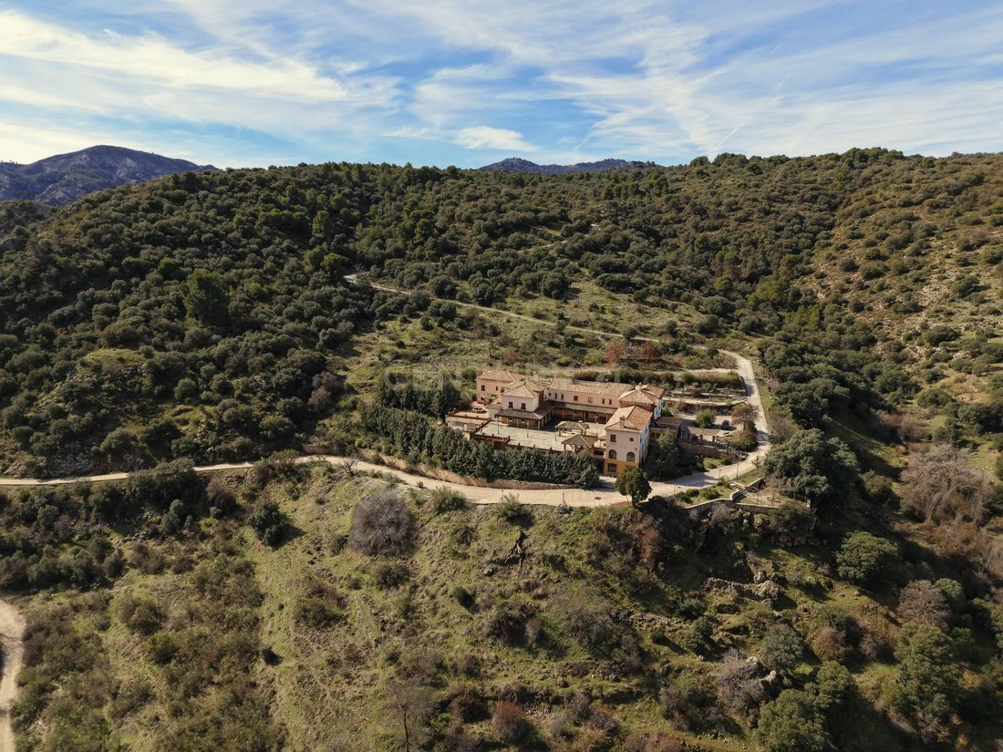 Andere in Diezma, Andalusien, Spanien 2 - 17299743