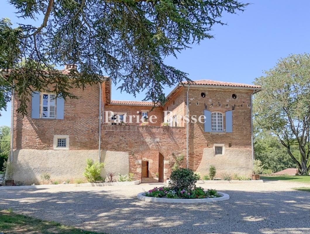 Castle in Grand Centre, Albi, France 1 - 17064421