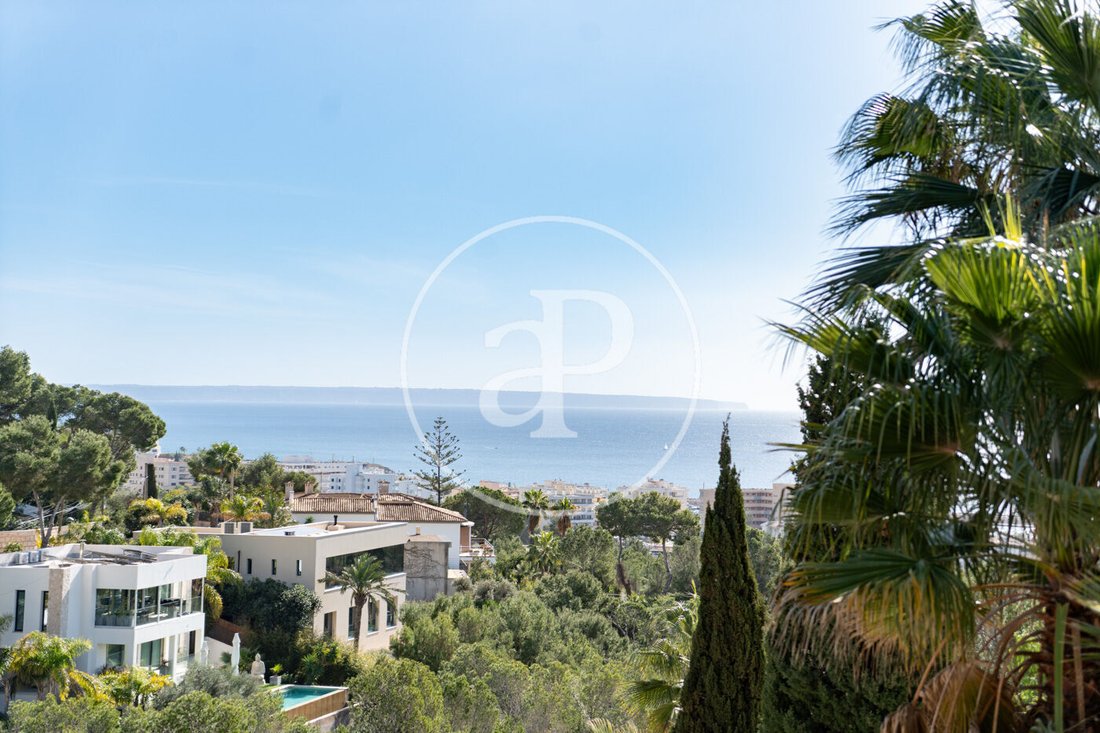 Villa in Costa d'en Blanes, Calvia, Balearic Islands 2 - 17291687