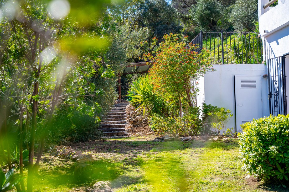 Country House in Casares, Andalusia, Spain 3 - 17296339