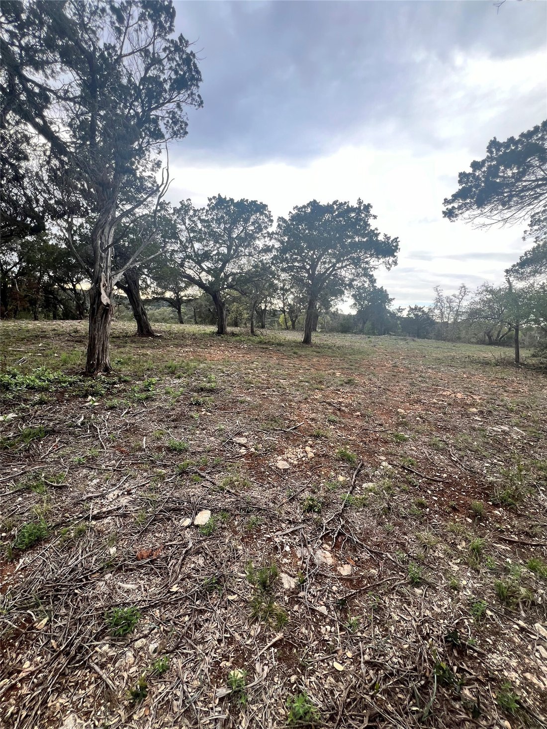 Terreno a Jonestown, Texas, Stati Uniti 3 - 17293220