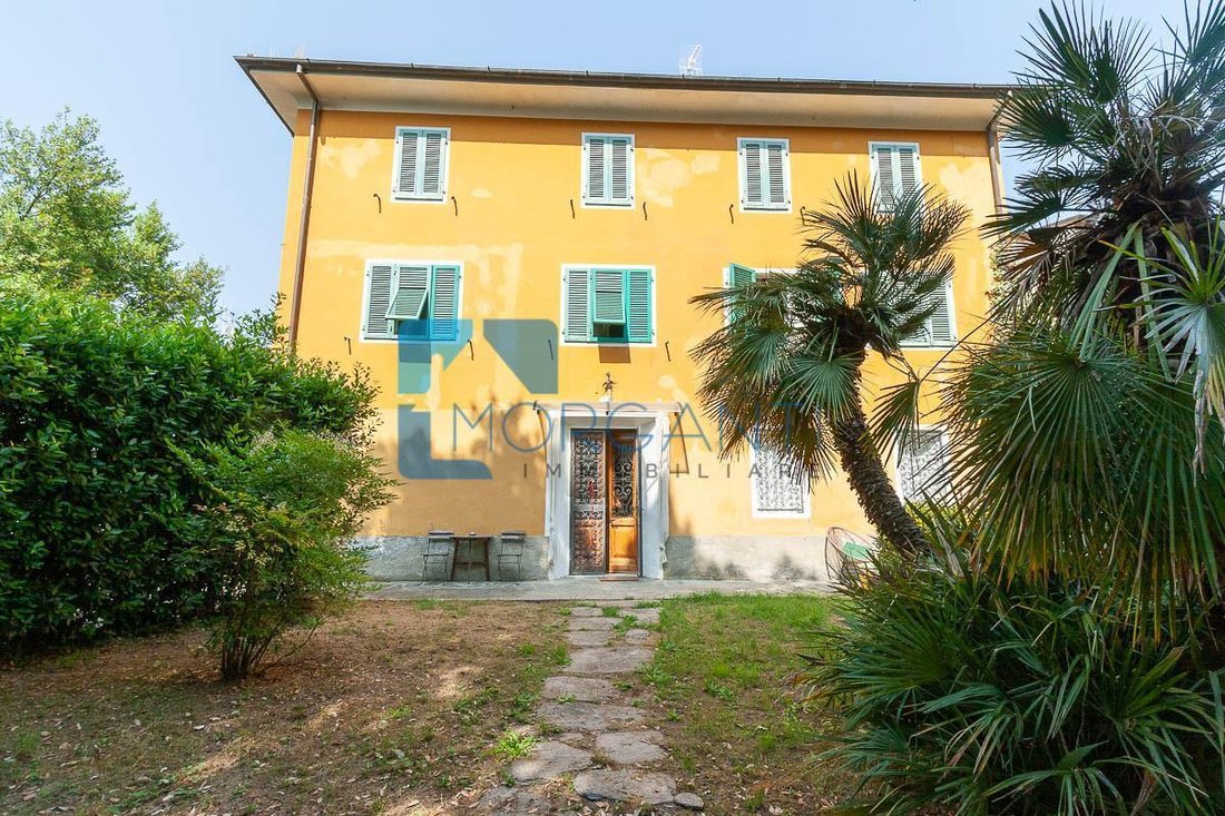 Camaiore, Tuscany, Italy 1 - 17294271