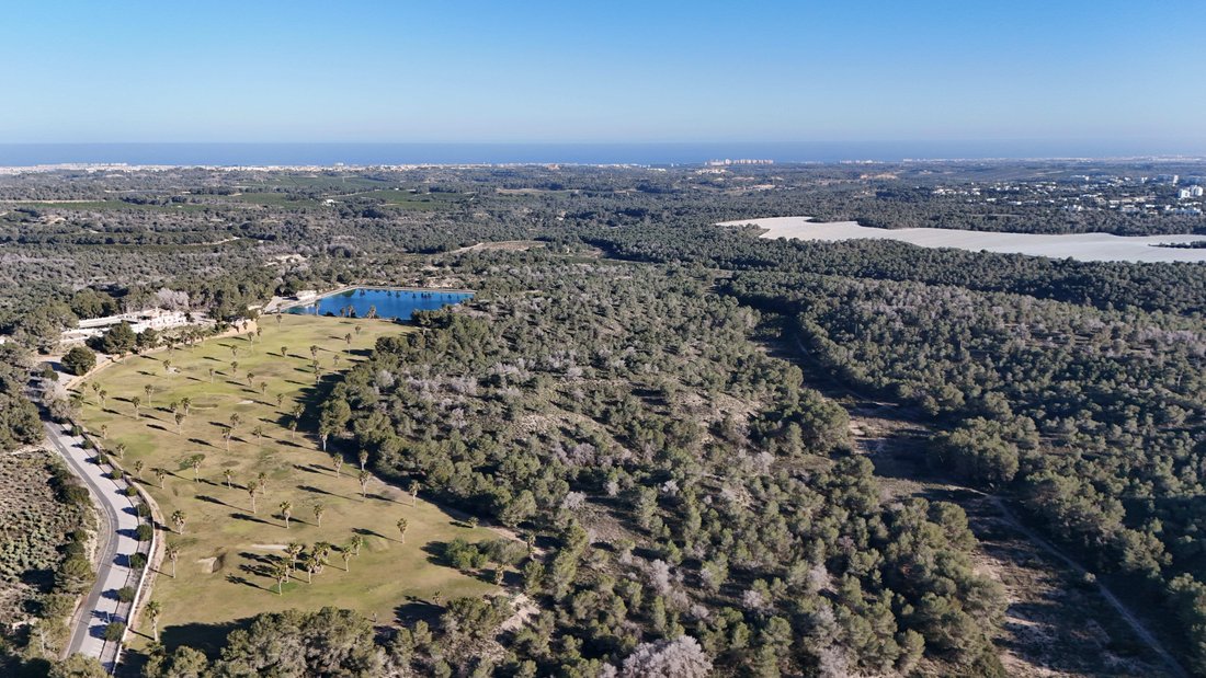 Finca in San Miguel de Salinas, Valencian Community, Spain 5 - 17291065