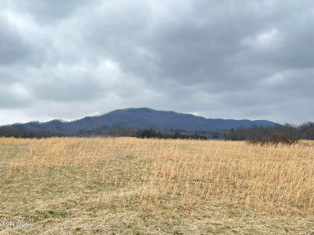 Land in Greeneville, Tennessee, United States 3 - 17295856