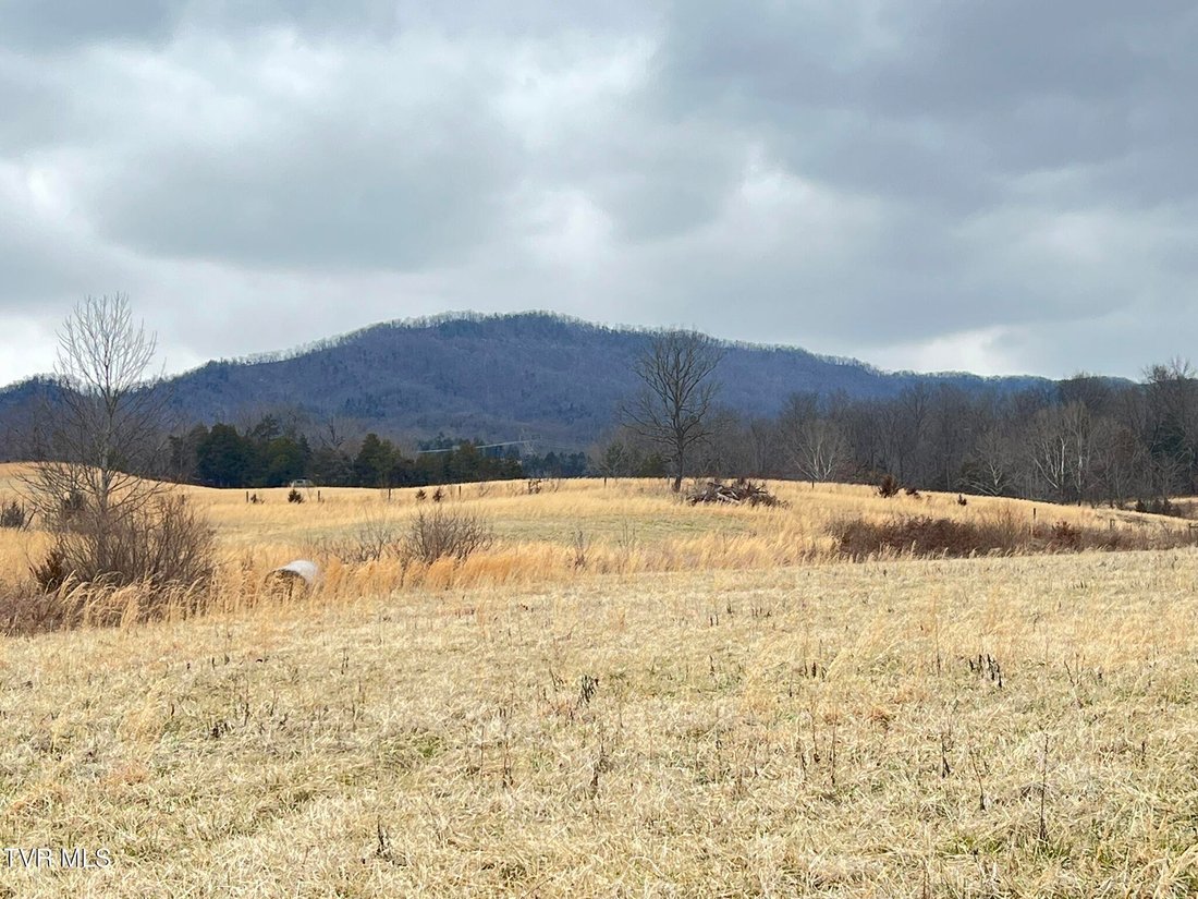 Land in Greeneville, Tennessee, United States 1 - 17295856