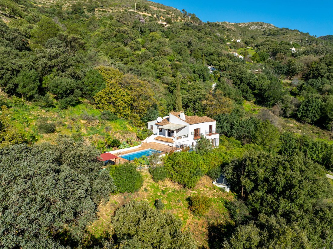 Country House in Casares, Andalusia, Spain 2 - 17296339