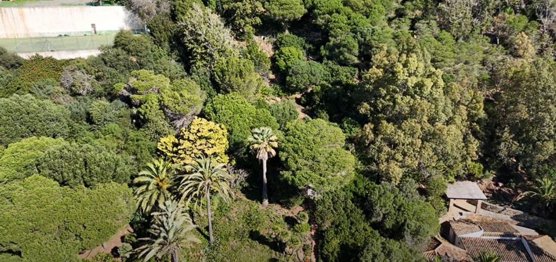 Terreno a Tarifa, Andalusia, Spagna 5 - 17298676