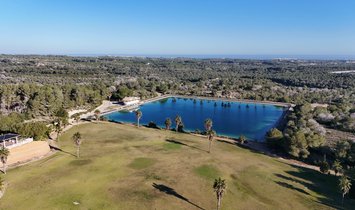 Finca à San Miguel de Salinas, Valence, Espagne 1