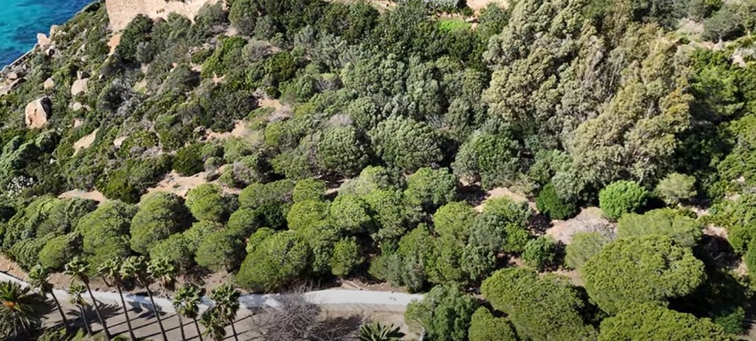 Terreno a Tarifa, Andalusia, Spagna 1 - 17298676