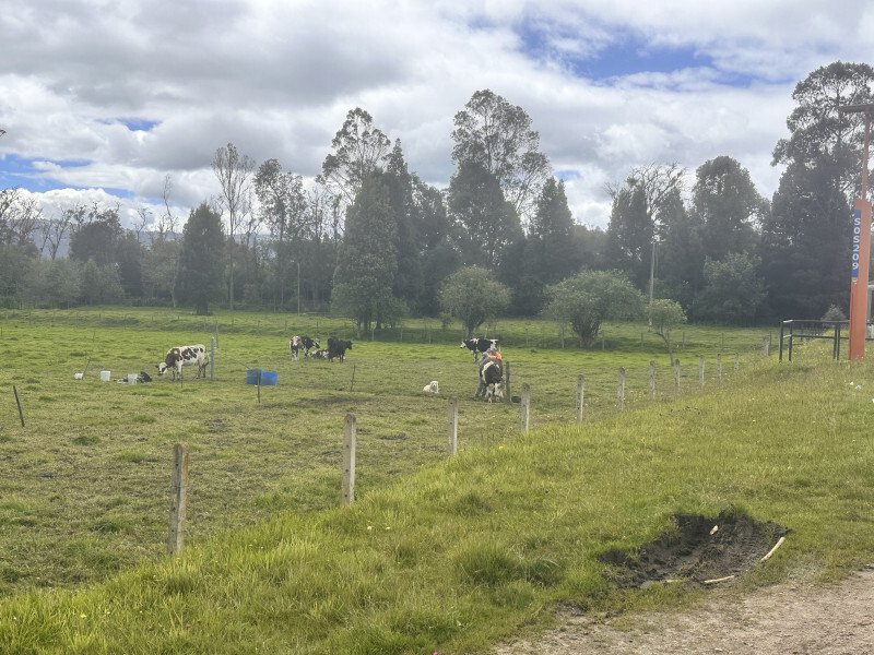 Land in La Calera, La Calera, Colombia 5 - 17293949