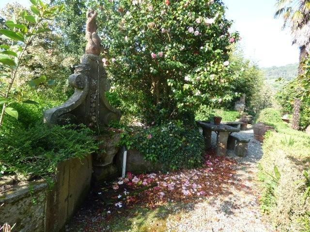 Verciano, Capannori, Tuscany 5 - 17294944