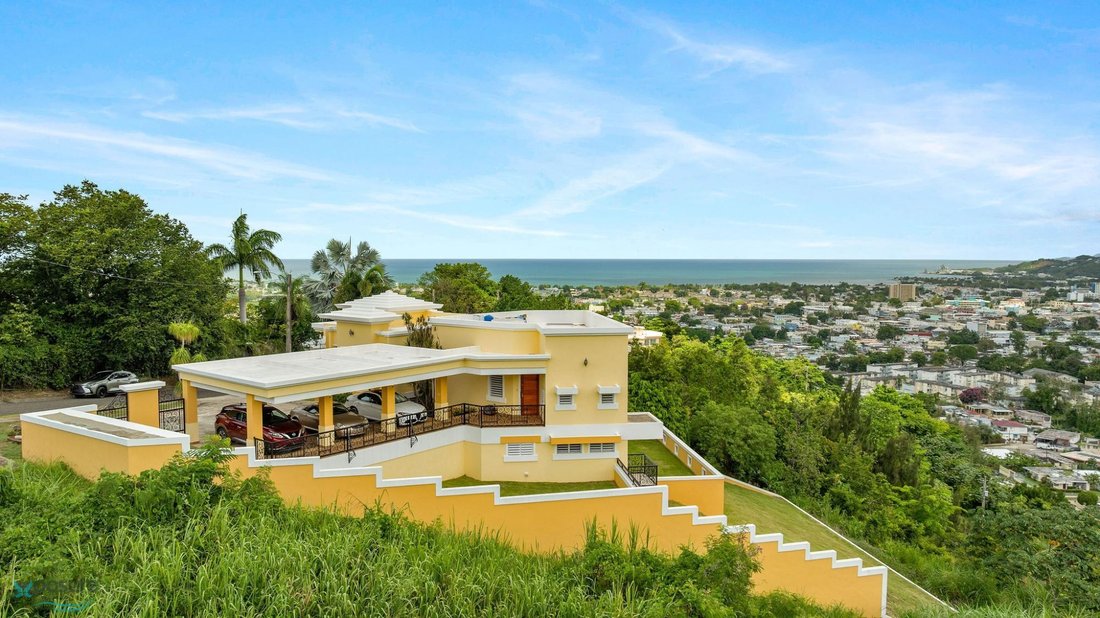House in Quebrada Grande, Mayagüez, Puerto Rico 3 - 17294050
