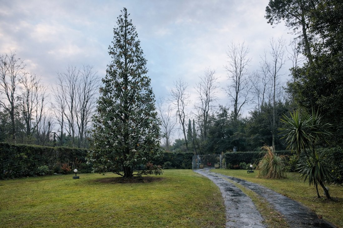 Villa in Ronchi, Massa, Italy 5 - 17294225