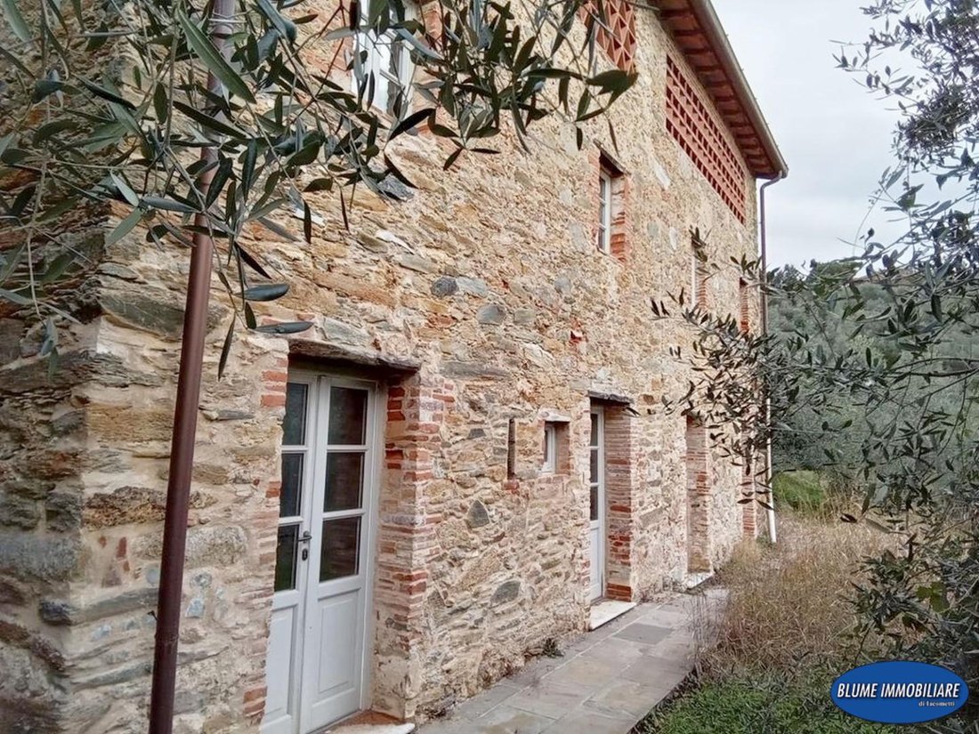 Farm Ranch in Camaiore, Tuscany, Italy 2 - 17294045