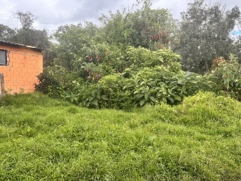 Land in La Calera, La Calera, Colombia 4 - 17293949