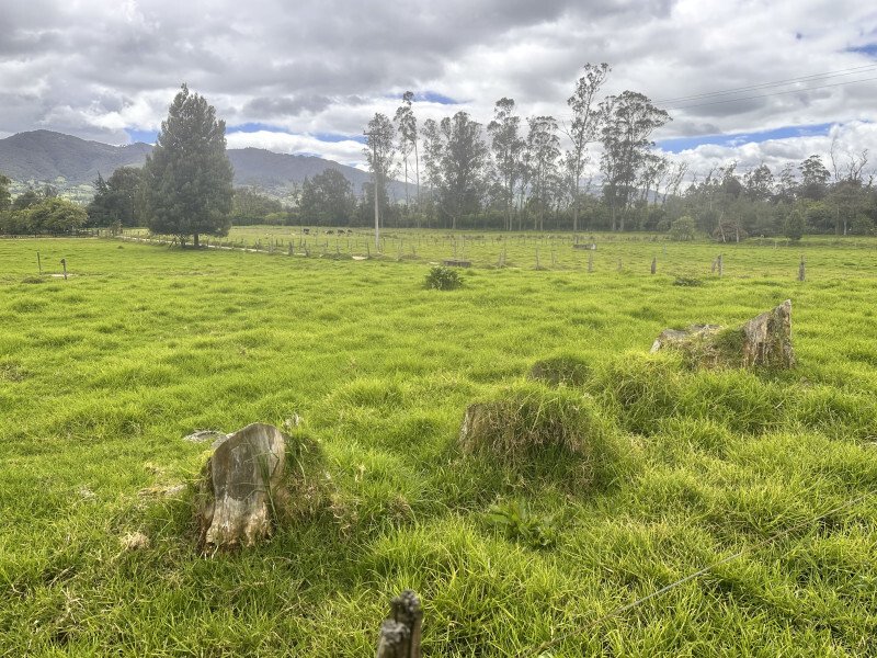 Land in La Calera, La Calera, Colombia 2 - 17293949