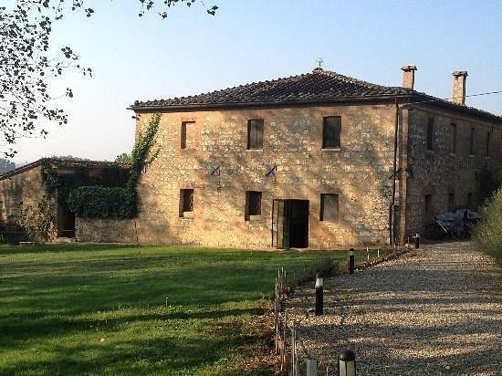 Monteroni d'Arbia, Tuscany, Italy 3 - 17294410